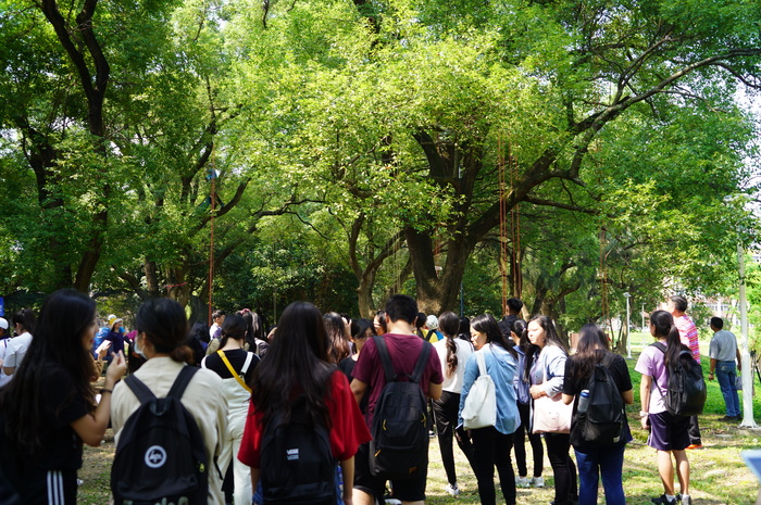 1080531-(體育室)攀樹體驗圖片